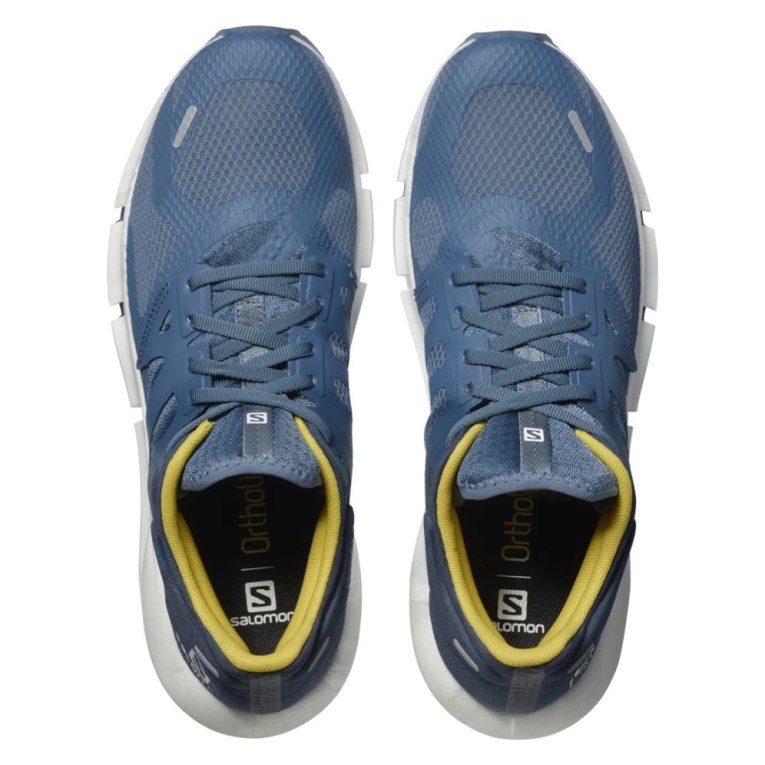 Blue Salomon Predict 2 Men's Running Shoes | IE UR9271